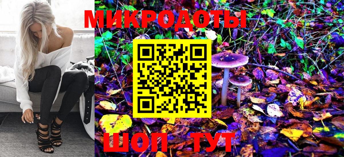 Гудермес  Галлюциногенные грибы Psilocybe  Вход с VPN 